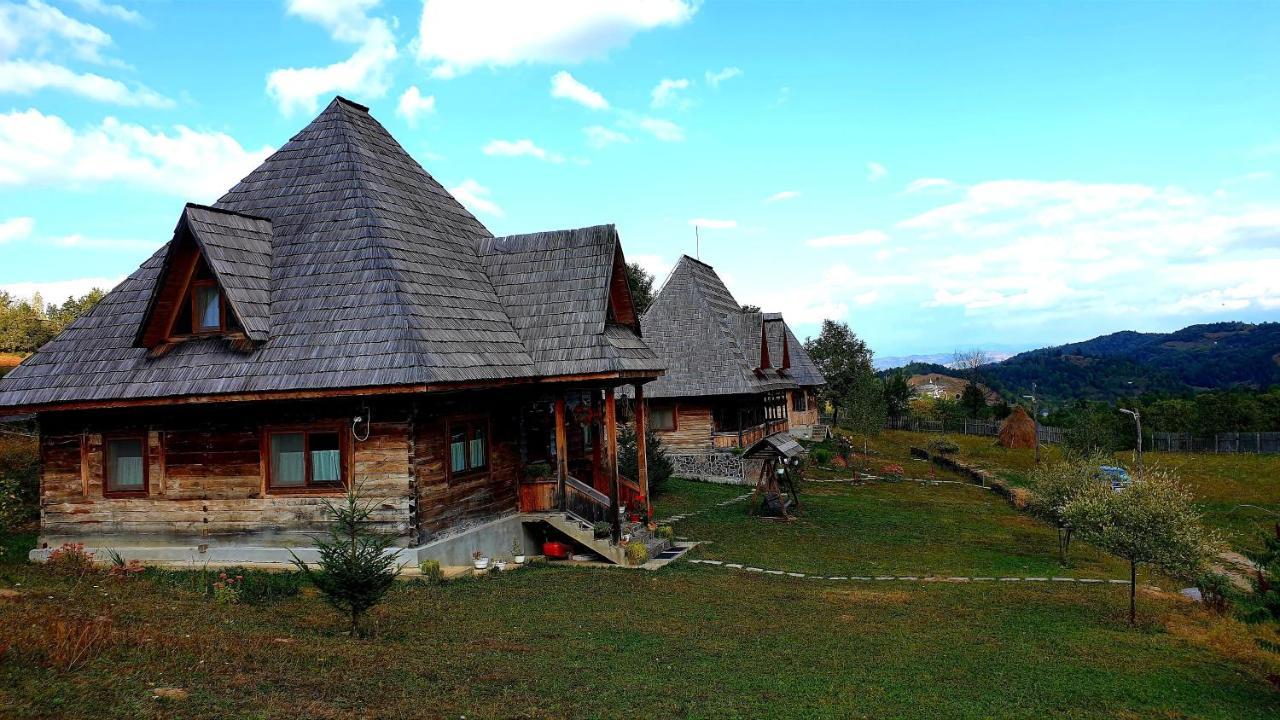 Casele de vacanta Luca&Vicentiu Botiza Exterior foto